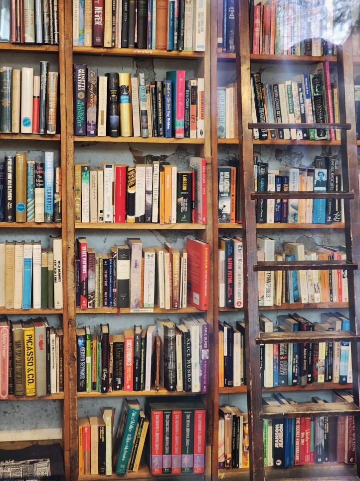 Image of bookshelves with second-hand books in lots of different colours, and a wooden shelf ladder on the right. 